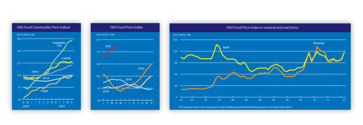 Food Prices Rise sharply in 2021. Except Meet.